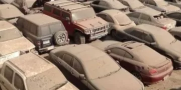 جمارك الإسكندرية تعلن نتائج مزاد بيع «الرواكد والمهمل» بمينائي الإسكندرية والدخيلة