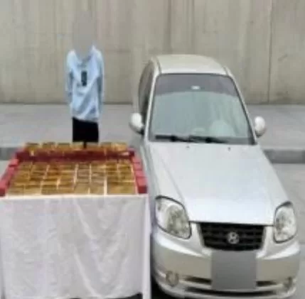 16 8 - جريدة الجمهورية