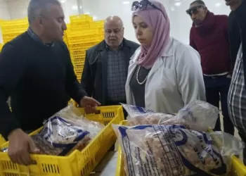 «بيطري الفيوم» يرفع درجة الاستعداد بالمجازر ويكثف حملاته الرقابية على الأسواق