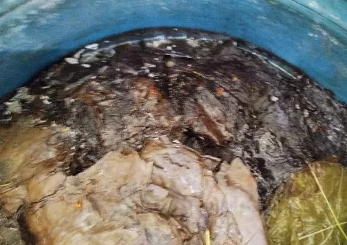 3 96 - جريدة الجمهورية