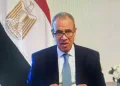 وزير الخارجية يجدد التزام مصر بتعزيز وحماية حقوق الإنسان