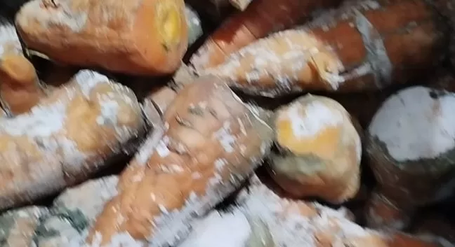 5 59 - جريدة الجمهورية