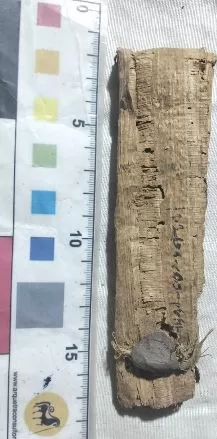 7 38 - جريدة الجمهورية