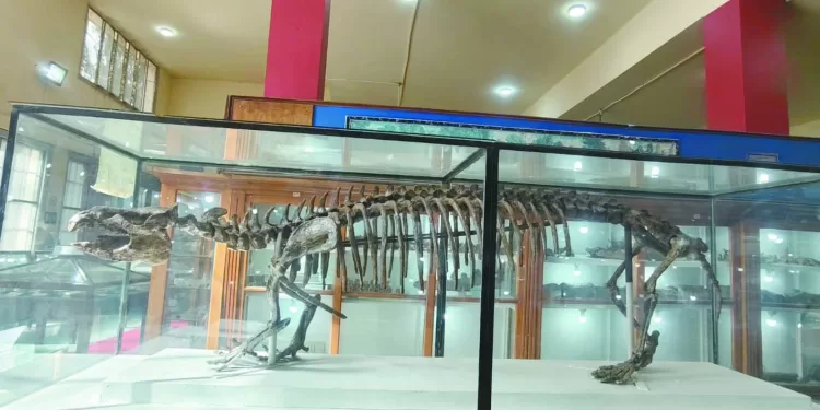 أرقام تاريخية لـ«صلاح» بعد صناعة هدف بمرمى نيوكاسل