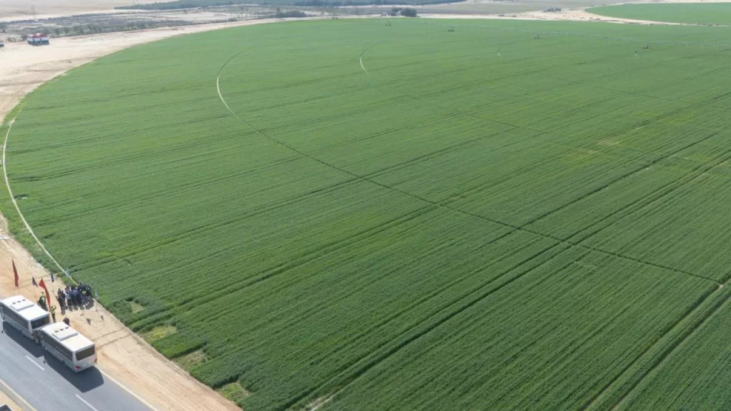 WhatsApp Image 2026 02 04 at 5.56.34 PM 2 - جريدة الجمهورية