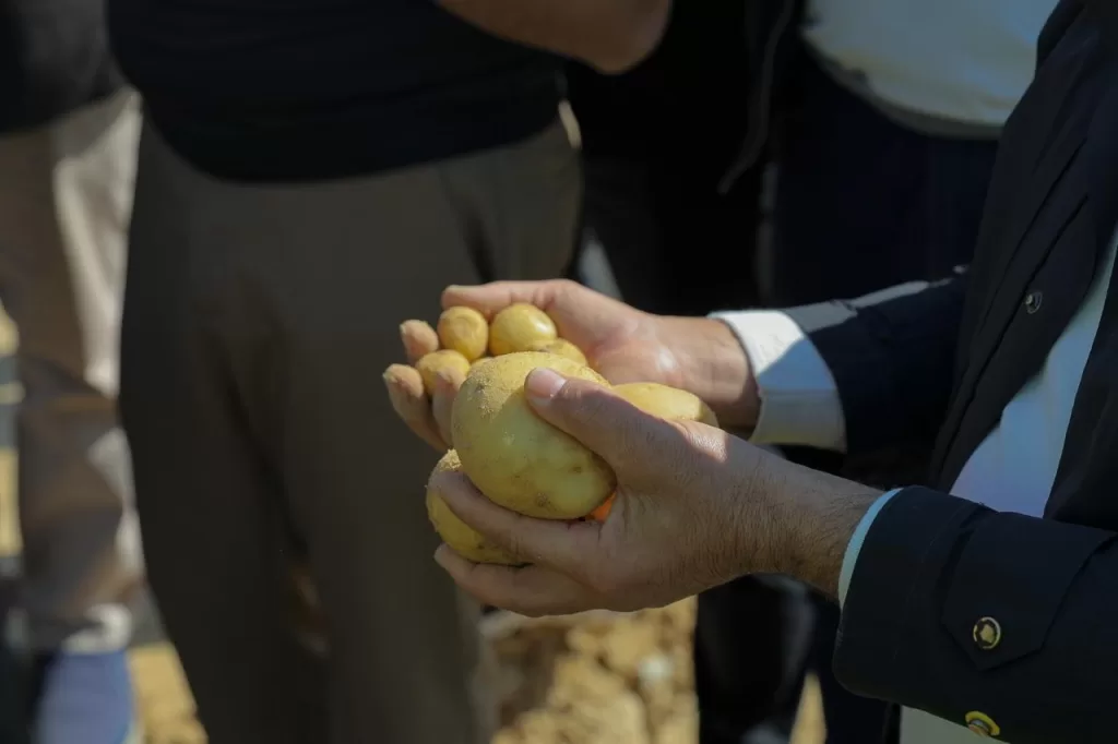 WhatsApp Image 2026 02 04 at 5.56.35 PM 1 - جريدة الجمهورية