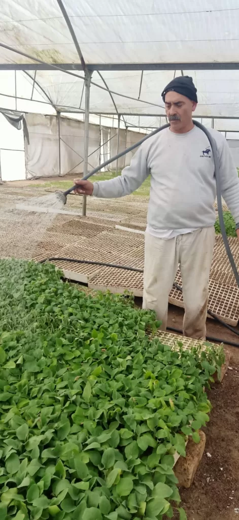 WhatsApp Image 2026 02 05 at 9.49.05 AM 1 - جريدة الجمهورية