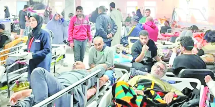 «صبحى» يطلق شارة بدء النسخة 12 من ماراثون القاهرة الدولى