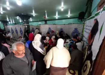 صحة الدقهلية تحتفل بـ «اليوم السكاني» في نبروه ضمن المبادرة الرئاسية «الألف يوم الذهبية»