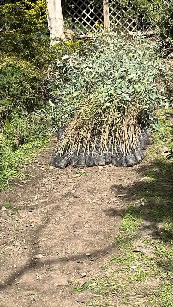 WhatsApp Image 2026 02 10 at 1.52.34 PM 1 - جريدة الجمهورية