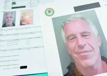 «الجبلاية» تشيد بمنتخب الصالات.. وتنفى خطاب «الأبيض»