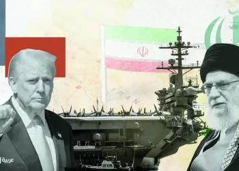 «الجبلاية» تشيد بمنتخب الصالات.. وتنفى خطاب «الأبيض»