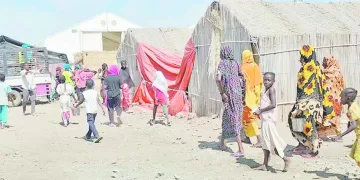 «الجبلاية» تشيد بمنتخب الصالات.. وتنفى خطاب «الأبيض»