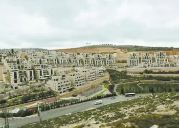 «الجبلاية» تشيد بمنتخب الصالات.. وتنفى خطاب «الأبيض»