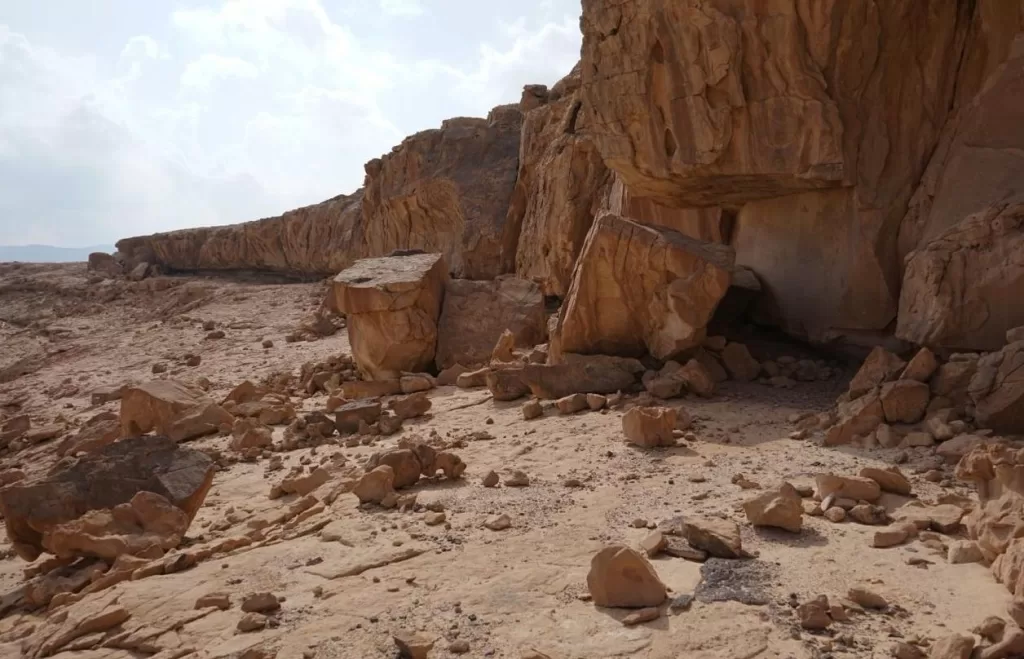 كشف أثري جديد بجنوب سيناء يزيح الستار عن أسرار 10 آلاف عام من «الفن الصخري» 10 - جريدة الجمهورية WhatsApp Image 2026 02 12 at 2.28.19 PM 4 - جريدة الجمهورية