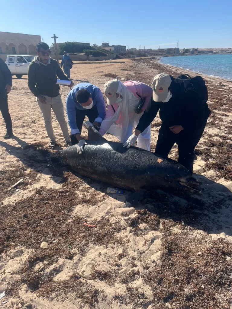 WhatsApp Image 2026 02 13 at 1.07.09 PM 1 - جريدة الجمهورية