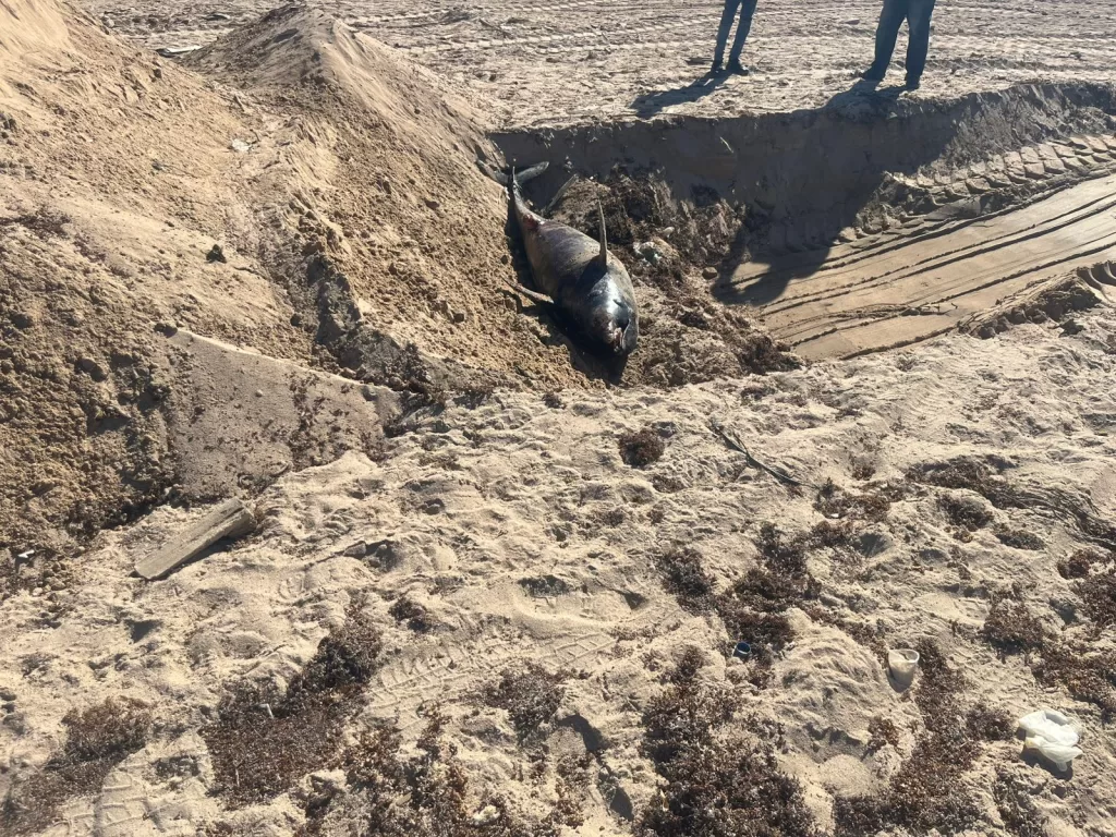 WhatsApp Image 2026 02 13 at 1.07.10 PM - جريدة الجمهورية