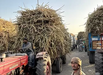 تشغيل مصانع السكر على مدار 24 ساعة لتحقيق المستهدفات الإنتاجية 4 - جريدة الجمهورية تشغيل مصانع السكر على مدار 24 ساعة لتحقيق المستهدفات الإنتاجية