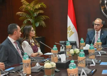 وزير الاستثمار: نستهدف تحويل مصر إلى منصة إقليمية لصناعة السيارات وتسهيل نفاذ الصادرات للأسواق العالمية