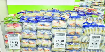 «زيزو» و«تريزيجيه» يواصلان التأهيل