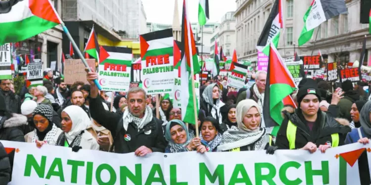 «زيزو» و«تريزيجيه» يواصلان التأهيل