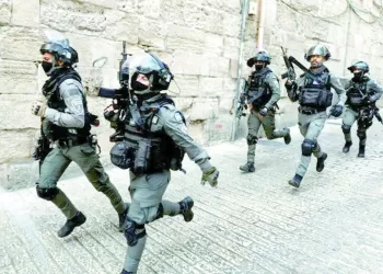 «زيزو» و«تريزيجيه» يواصلان التأهيل