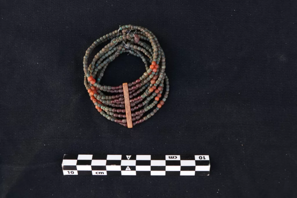 الكشف عن مجموعة من المقابر الصخرية بـ«قبة الهواء» في أسوان 4 - جريدة الجمهورية WhatsApp Image 2026 02 22 at 1.56.57 PM 3 - جريدة الجمهورية