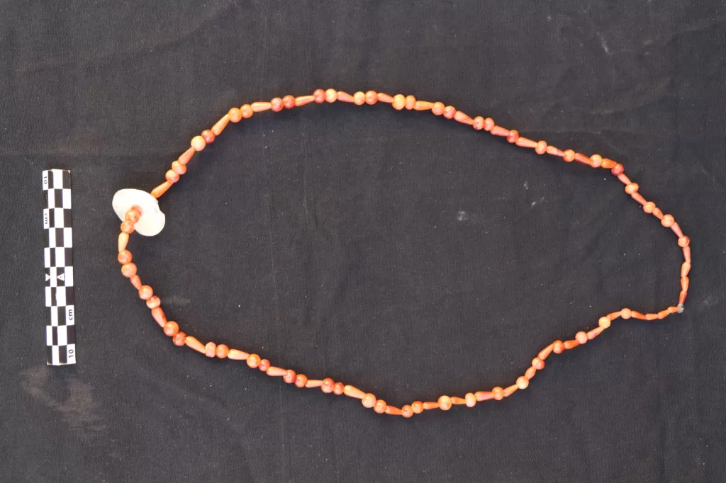 الكشف عن مجموعة من المقابر الصخرية بـ«قبة الهواء» في أسوان 5 - جريدة الجمهورية WhatsApp Image 2026 02 22 at 1.56.58 PM 1 - جريدة الجمهورية