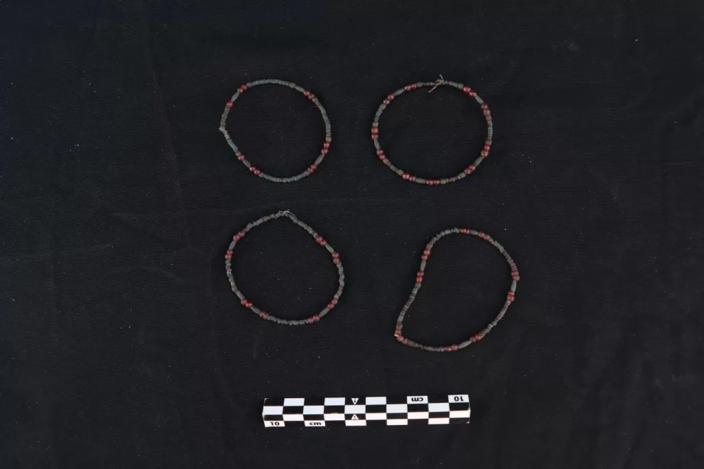 الكشف عن مجموعة من المقابر الصخرية بـ«قبة الهواء» في أسوان 8 - جريدة الجمهورية WhatsApp Image 2026 02 22 at 1.56.58 PM - جريدة الجمهورية