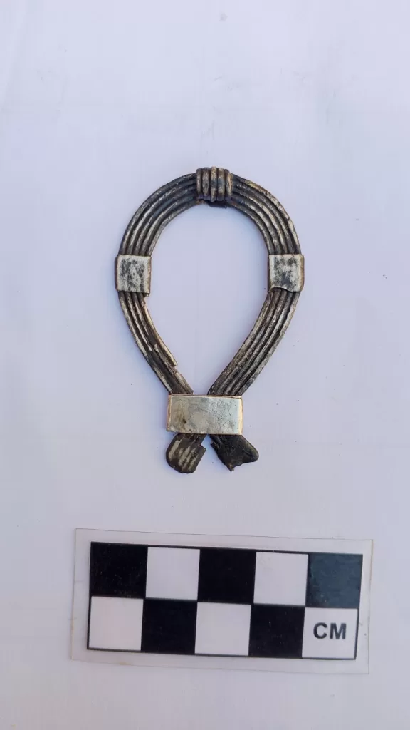 الكشف عن مجموعة من المقابر الصخرية بـ«قبة الهواء» في أسوان 9 - جريدة الجمهورية WhatsApp Image 2026 02 22 at 1.56.59 PM 1 - جريدة الجمهورية