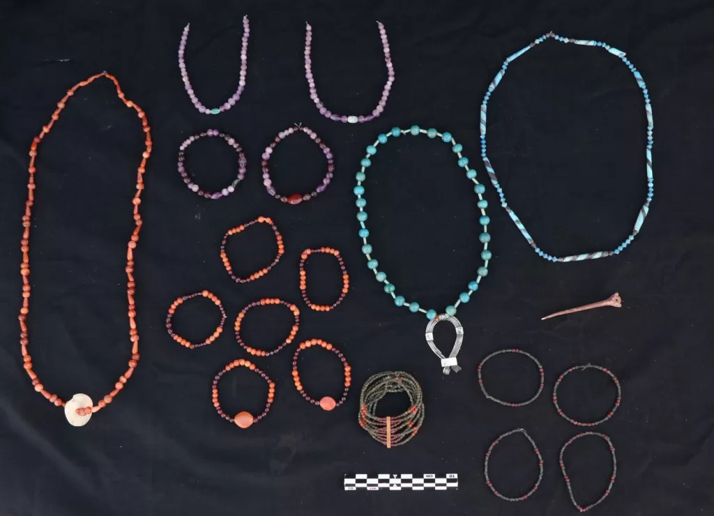 الكشف عن مجموعة من المقابر الصخرية بـ«قبة الهواء» في أسوان 10 - جريدة الجمهورية WhatsApp Image 2026 02 22 at 1.56.59 PM 2 - جريدة الجمهورية