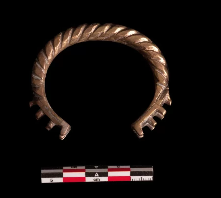 WhatsApp Image 2026 02 23 at 1.26.34 PM 3 - جريدة الجمهورية