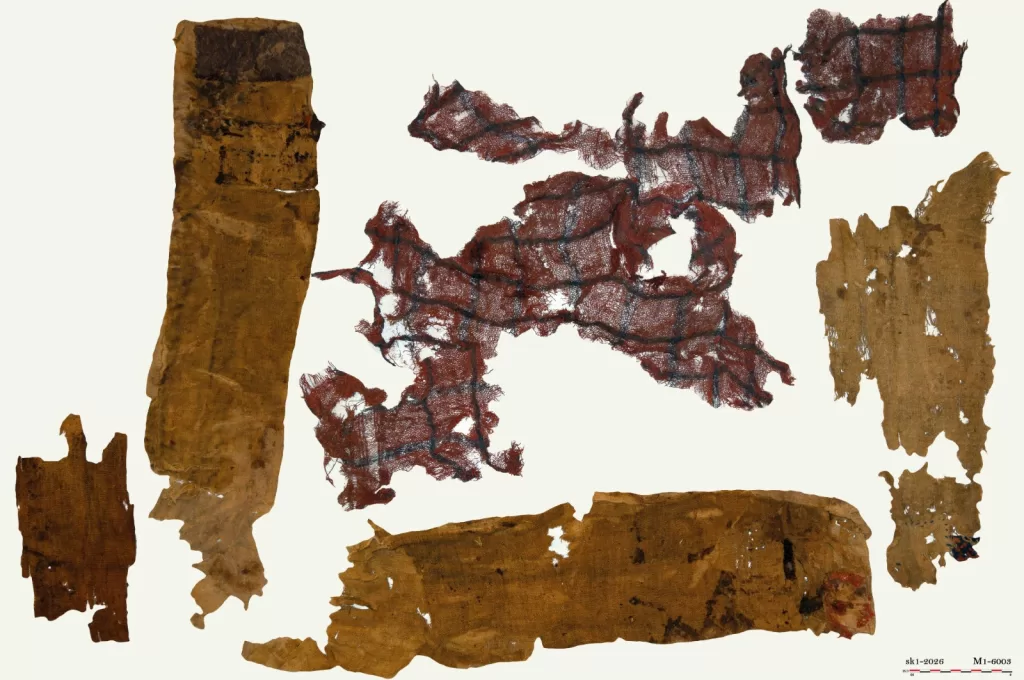 WhatsApp Image 2026 02 23 at 1.26.34 PM 5 - جريدة الجمهورية