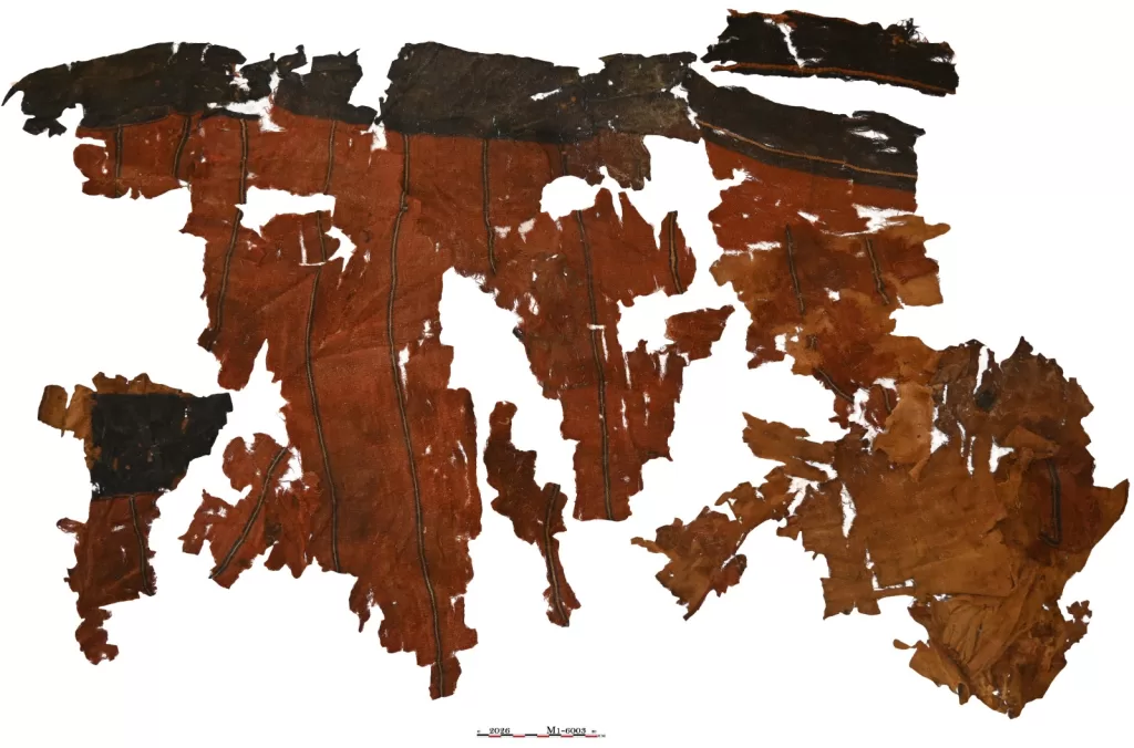 WhatsApp Image 2026 02 23 at 1.26.34 PM 6 - جريدة الجمهورية