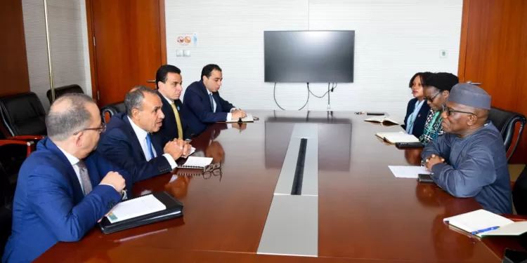 وزير الخارجية: تعظيم الاستفادة من رئاسة مصر لمجلس السلم والأمن الأفريقي لتعزيز الاستقرار في أنحاء القارة