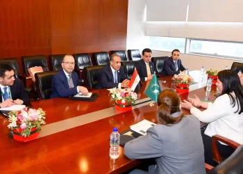 وزير الخارجية يؤكد دعم مصر لتطوير الأداء المؤسسي لمفوضية الاتحاد الأفريقي