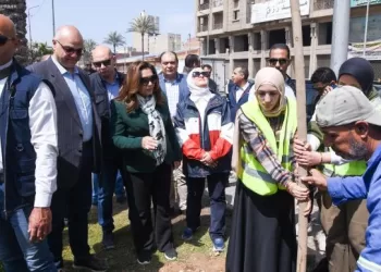 وزيرة التنمية المحلية: توريد 269 ألف شجرة للإسكندرية ضمن «100 مليون شجرة» 7 - جريدة الجمهورية وزيرة التنمية المحلية: توريد 269 ألف شجرة للإسكندرية ضمن «100 مليون شجرة»