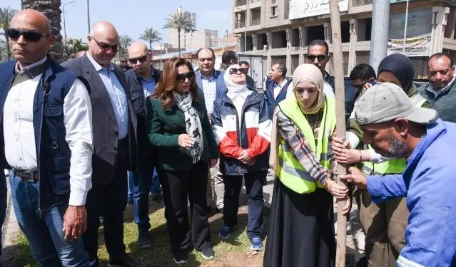 وزيرة التنمية المحلية: توريد 269 ألف شجرة للإسكندرية ضمن «100 مليون شجرة»