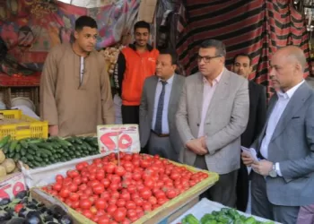 محافظ قنا يُجري جولة مفاجئة بسوق «السهاريج» لضبط الأسعار ومتابعة توافر السلع الغذائية