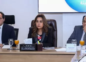وزيرة التنمية المحلية تترأس اجتماع «شئون البيئة».. قرارات حاسمة لتعزيز الاستثمار البيئي والتحول الرقمي