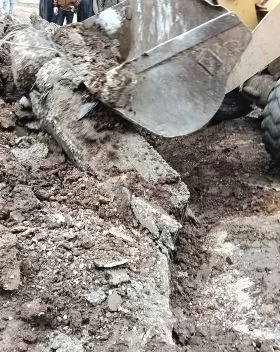 4 46 - جريدة الجمهورية