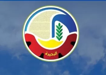 محافظ البحيرة تُوجه برفع درجة الاستعداد لمواجهة تقلبات الطقس.. غدًا