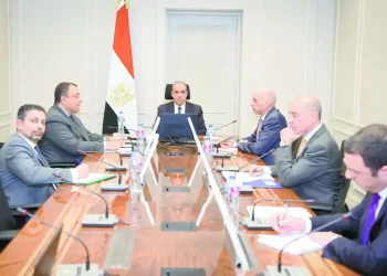 دعم كامل للدول العربية الشقيقة