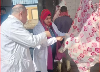 ضبط 3 أطنان أسماك ولحوم ودواجن مجهولة المصدر بالشرقية 3 - جريدة الجمهورية ضبط 3 أطنان أسماك ولحوم ودواجن مجهولة المصدر بالشرقية