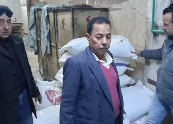 إنجازات محافظة البحيرة..حملات مكثفة لاسترداد أراضي الدولة وضبط الأسواق