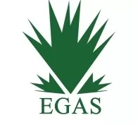 البترول: آبار جديدة بالبحر المتوسط والصحراء الغربية على خريطة إنتاج الغاز