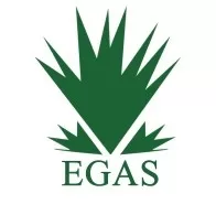 البترول: آبار جديدة بالبحر المتوسط والصحراء الغربية على خريطة إنتاج الغاز