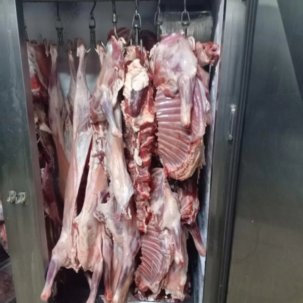 9a82d502 5260 4437 9135 20f65800d804 - جريدة الجمهورية