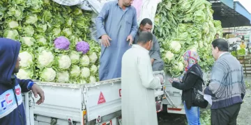 الزمالك يصطدم بـ «بيراميدز».. فى مواجهة مشتعلة.. الليلة 