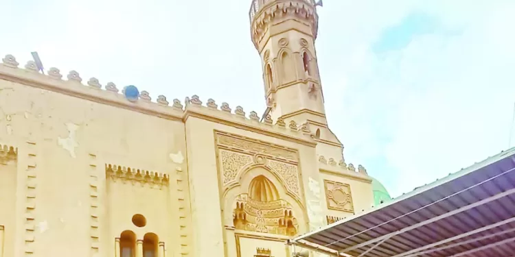 «السيدة حورية».. طبيبة قلوب المصريين 1 - جريدة الجمهورية 14 هزيمة لـ«الدراويش» فى الدورى